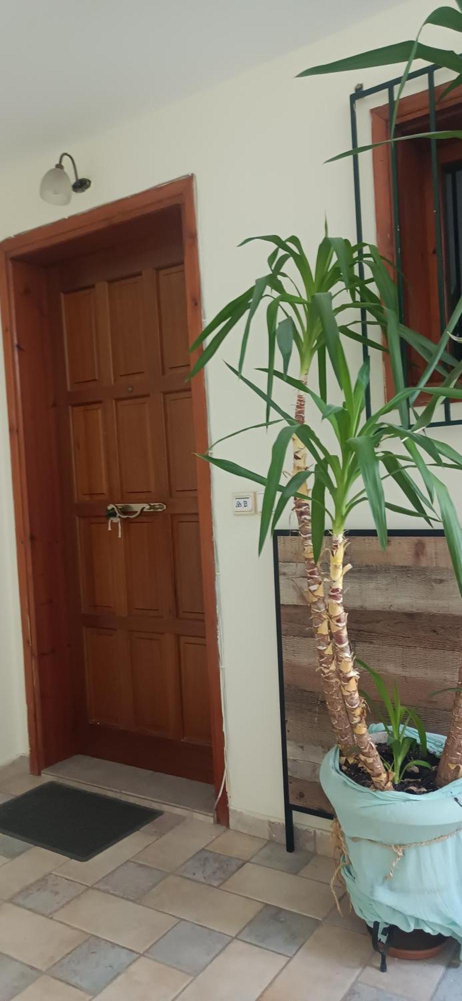 Στούντιο Κέντρου Άνω Πόλης Πάτρας Apartment Exterior foto